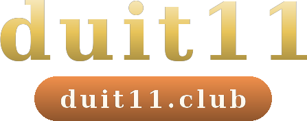 duit11 logo
